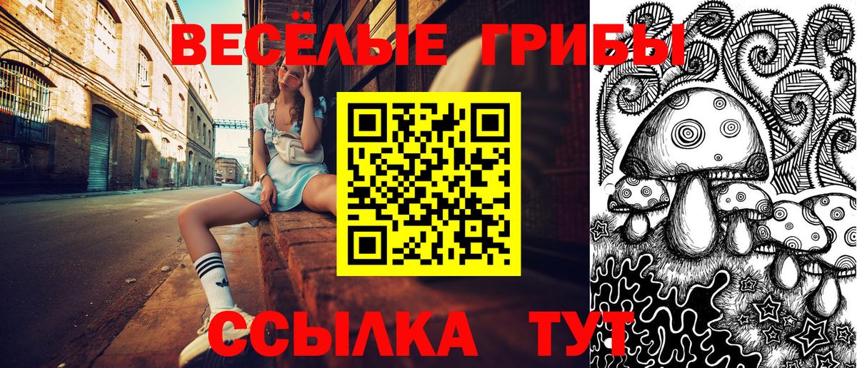 Псилоцибиновые грибы мицелий Кандалакша